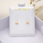 Penny Screwback Piercings 14KT