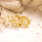 Nabi - Aretes