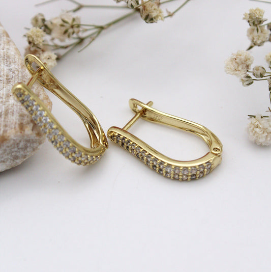 Nelia Hoop Earrings