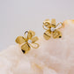Fiore - Aretes