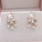 Ainize Stud Earrings