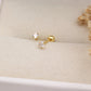 Febe Piercing Earrings