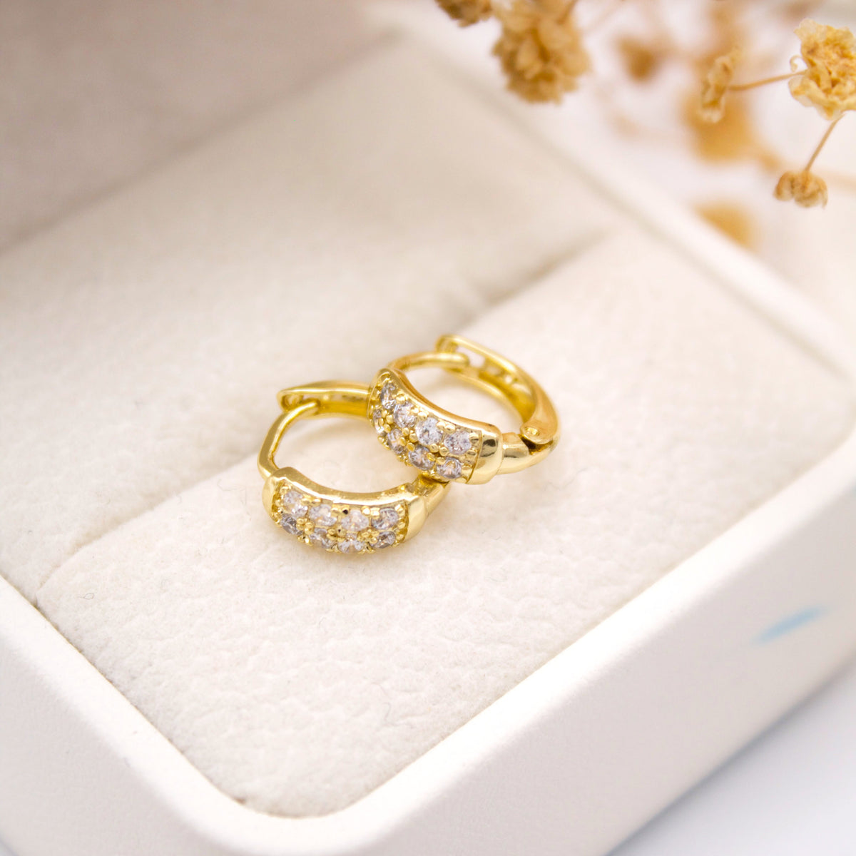 Itzel  - Aretes