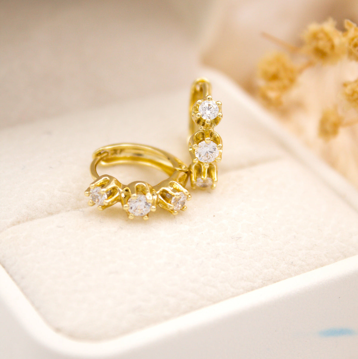 Nabi - Aretes